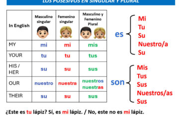 Posesivos y ser